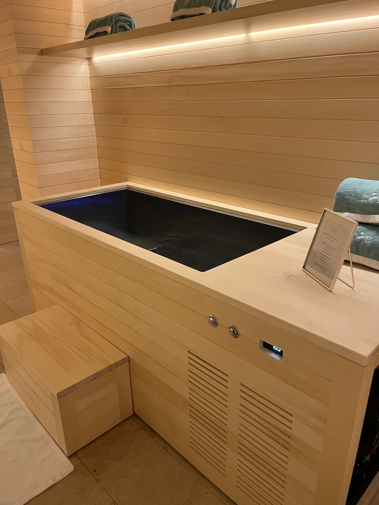 Installation Polar Plunge — Cheval Blanc Paris