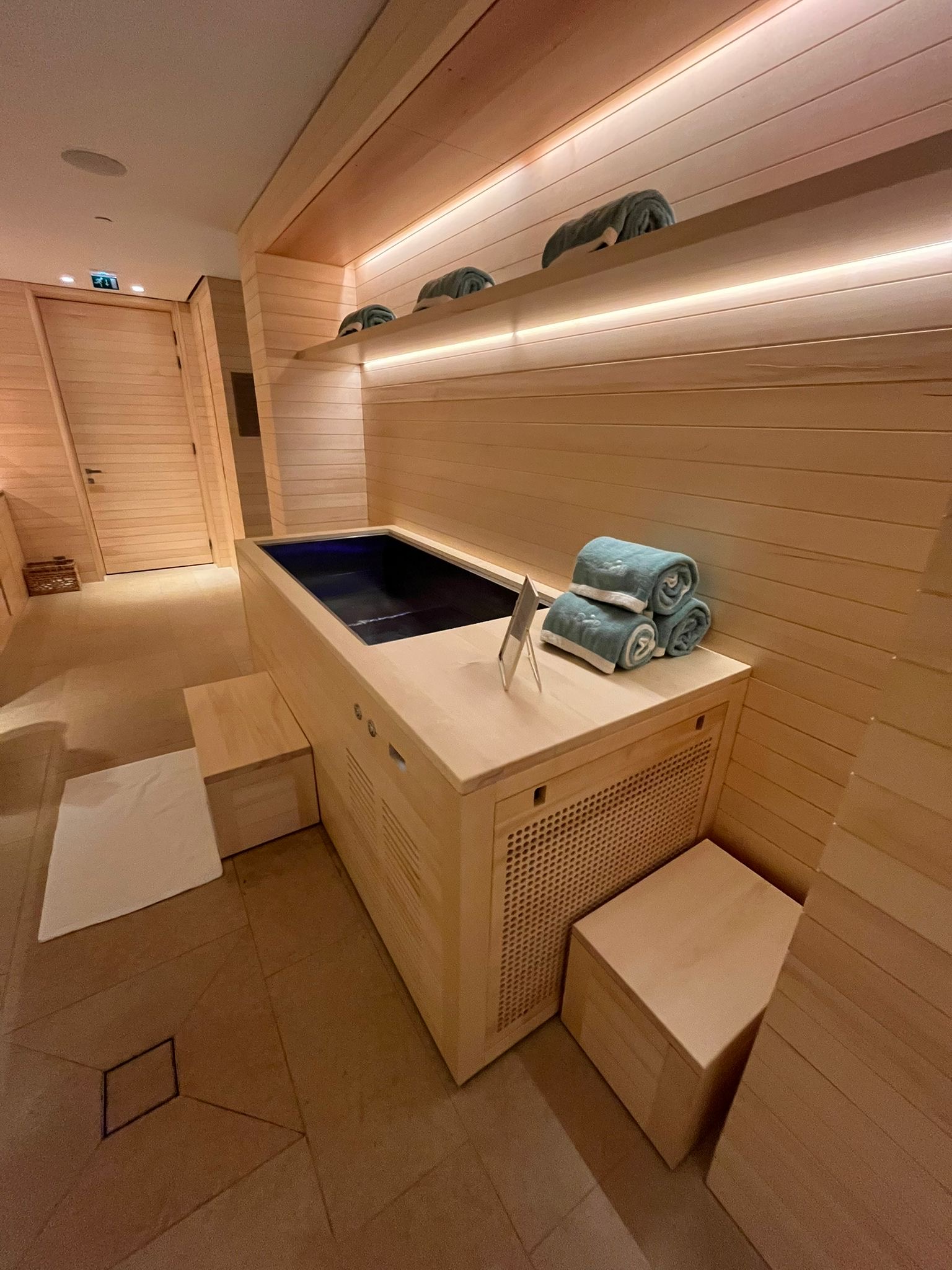 Installation Polar Plunge — Cheval Blanc Paris