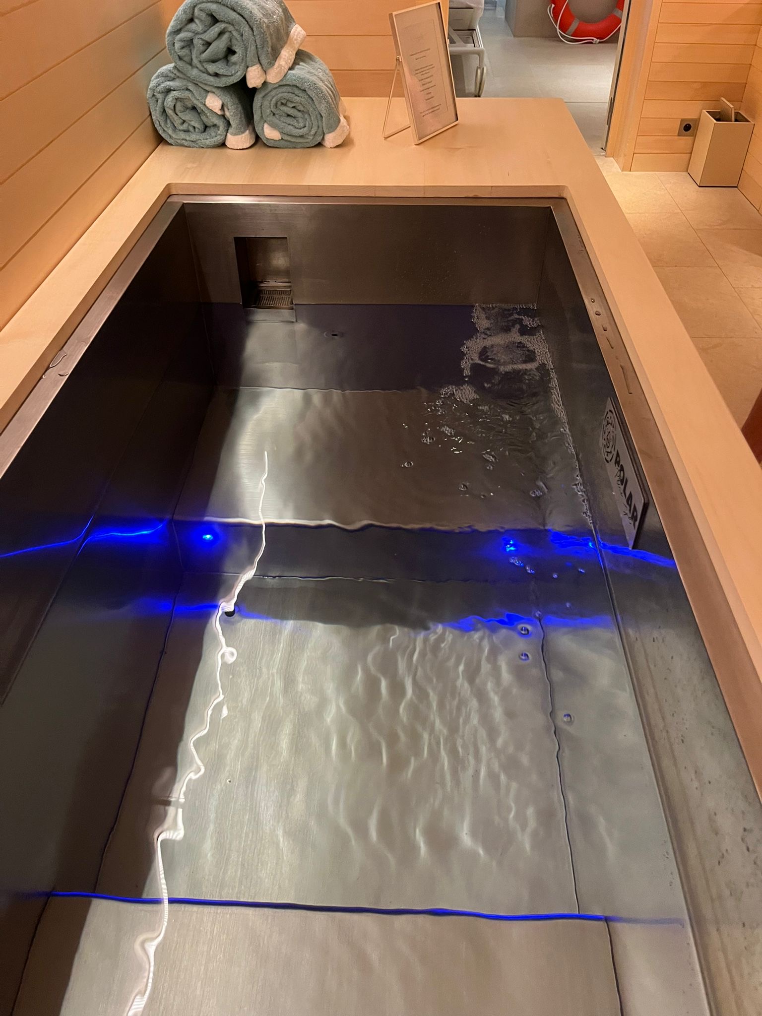 Installation Polar Plunge — Cheval Blanc Paris