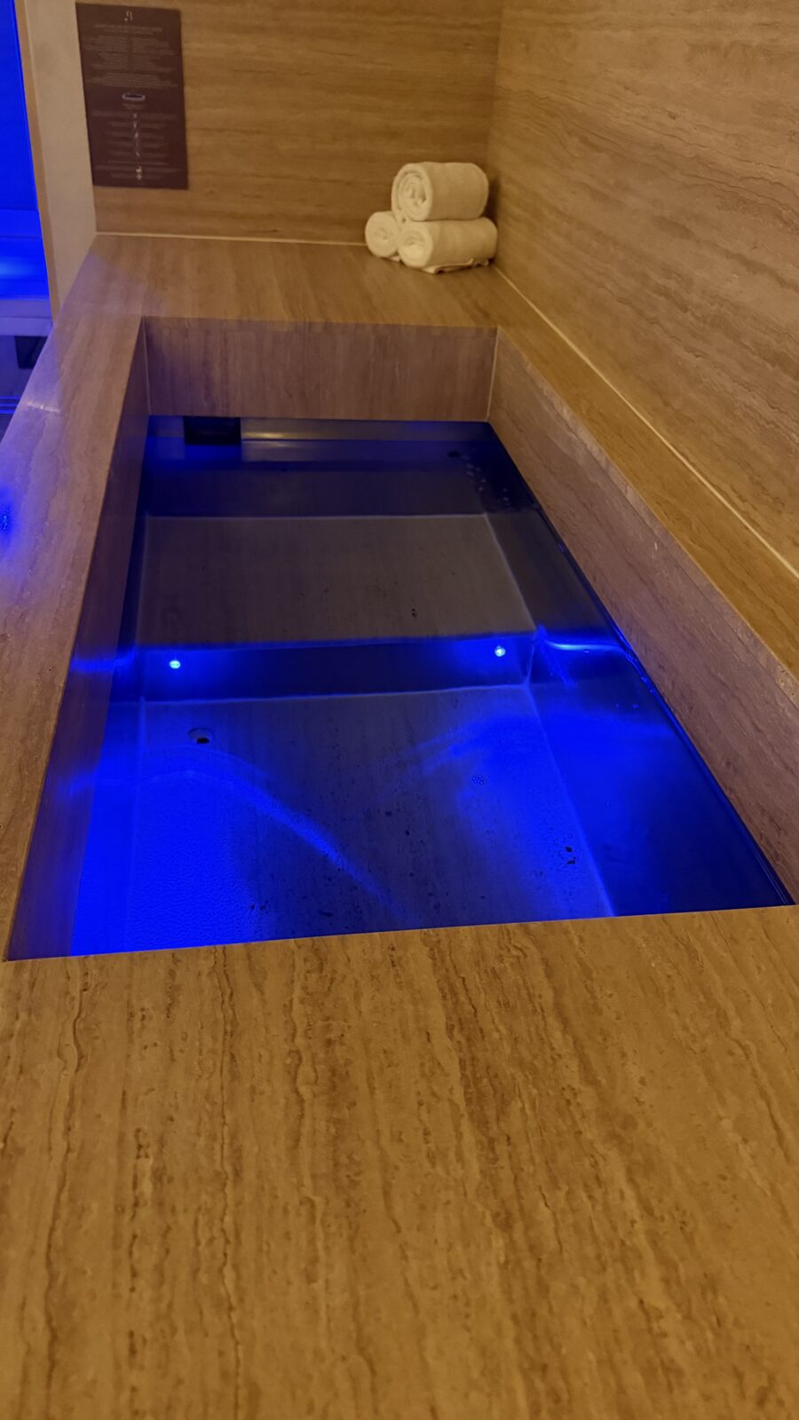 Installation Polar Plunge — Hôtel Maison Barrière